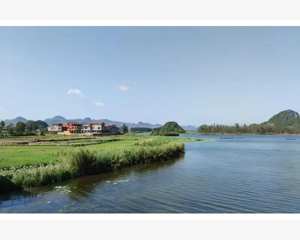 肺炎止咳化痰推拿手法：舒缓呼吸、减轻症状，中医科普